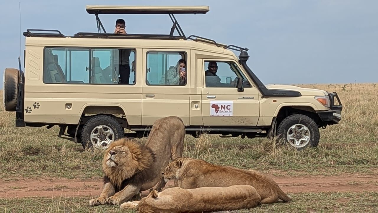 Tanzania Safari Tours featuring wildlife encounters and unforgettable game drive experiences in Tanzania