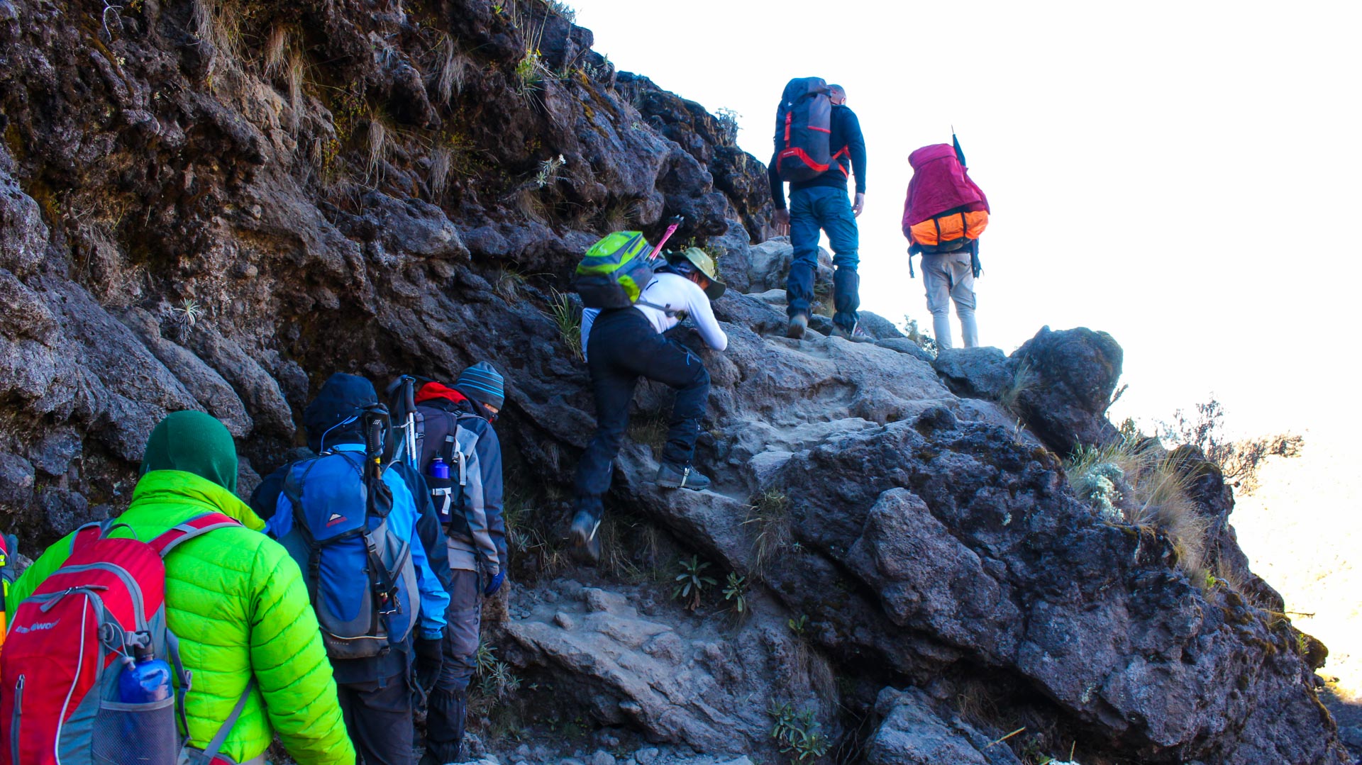 8-Day Northern Circuit Route trek featuring panoramic mountain landscapes and the ultimate Mount Kilimanjaro climbing experience