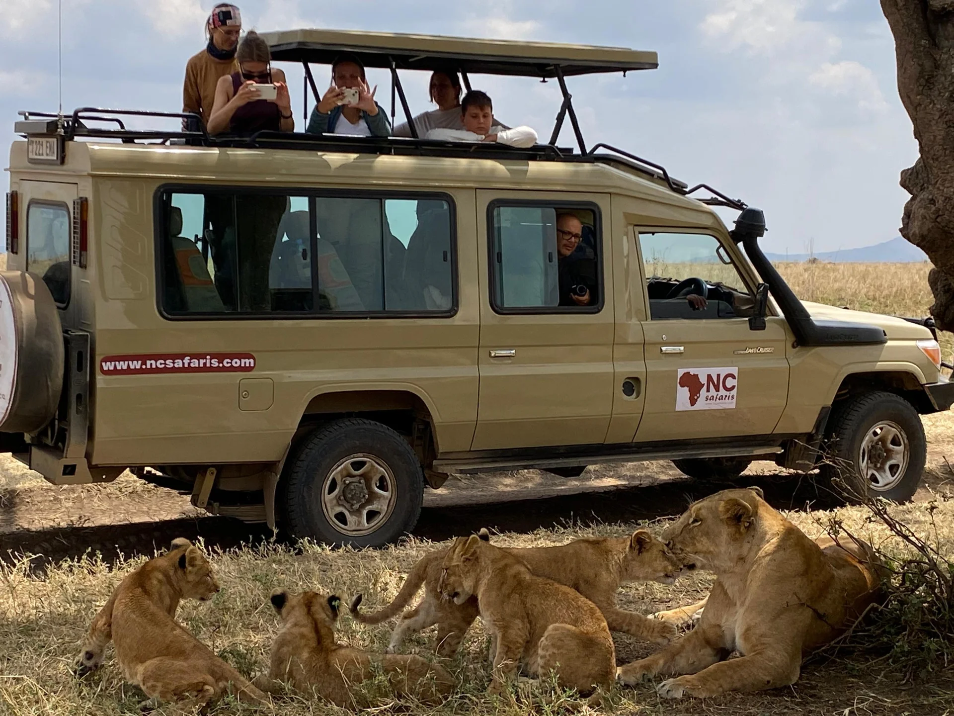 5-Day Animal Safari featuring Tanzania’s iconic wildlife and unforgettable game drive experiences