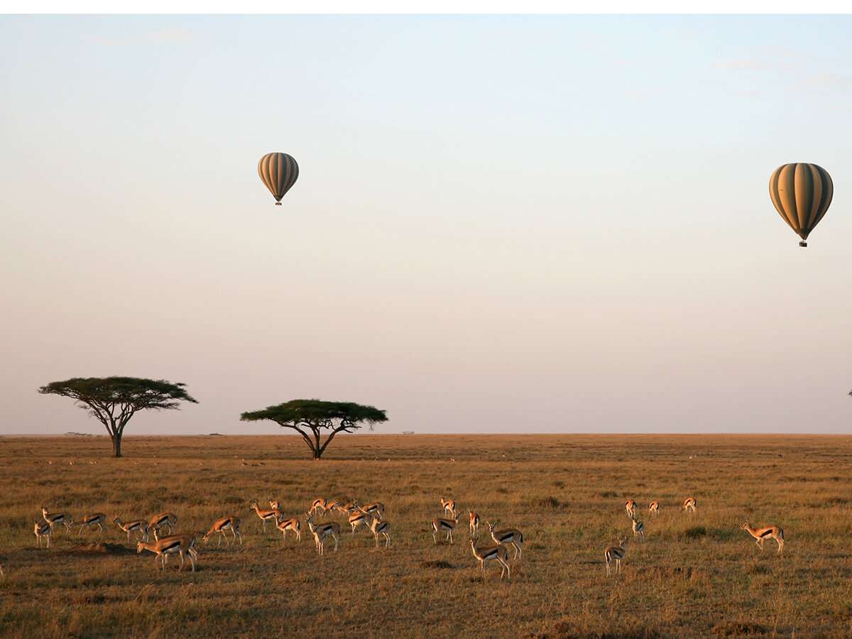 What to expect on Hot Air Balloon Safaris over the Serengeti