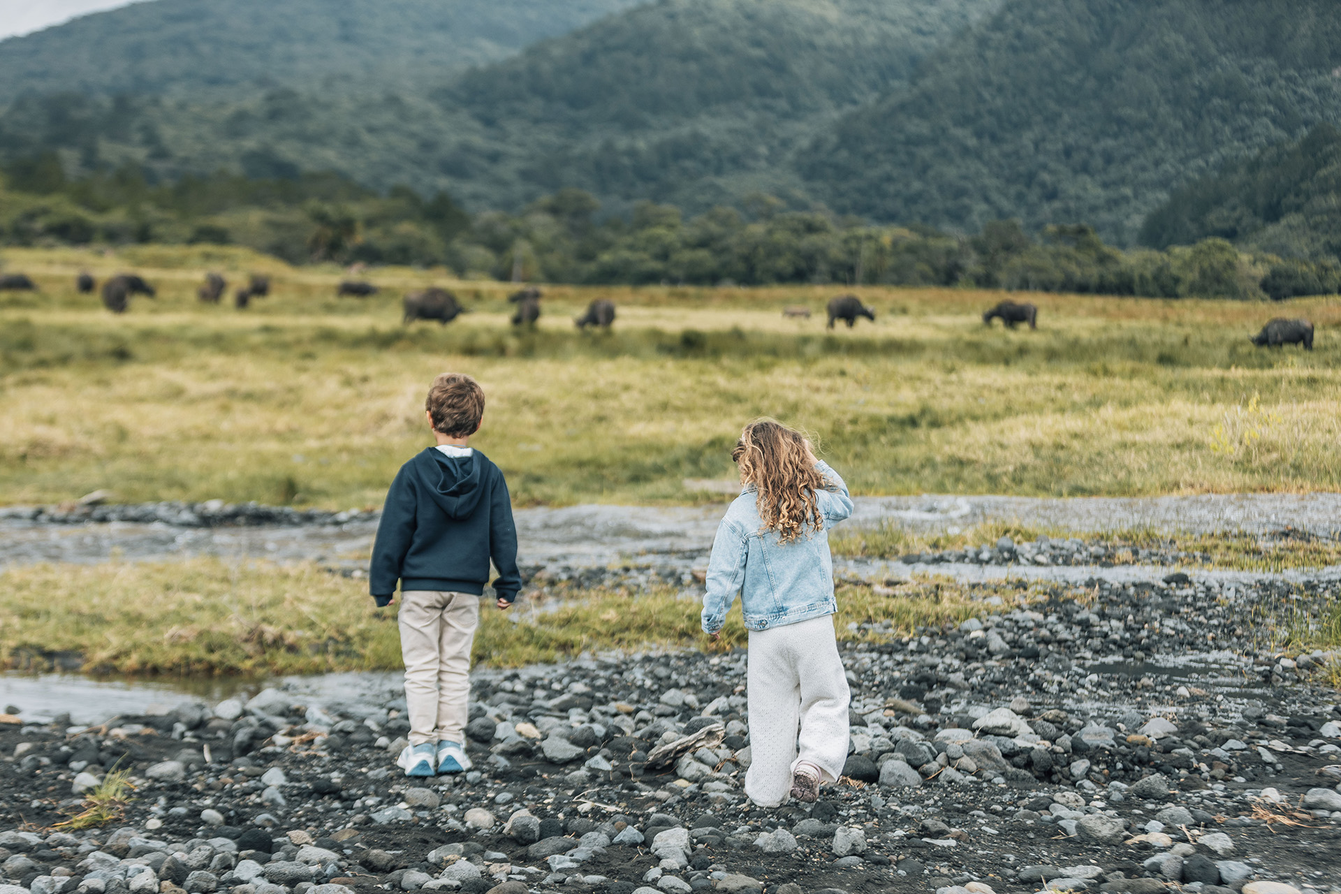 When to visit Tanzania for a Walking Safari experience