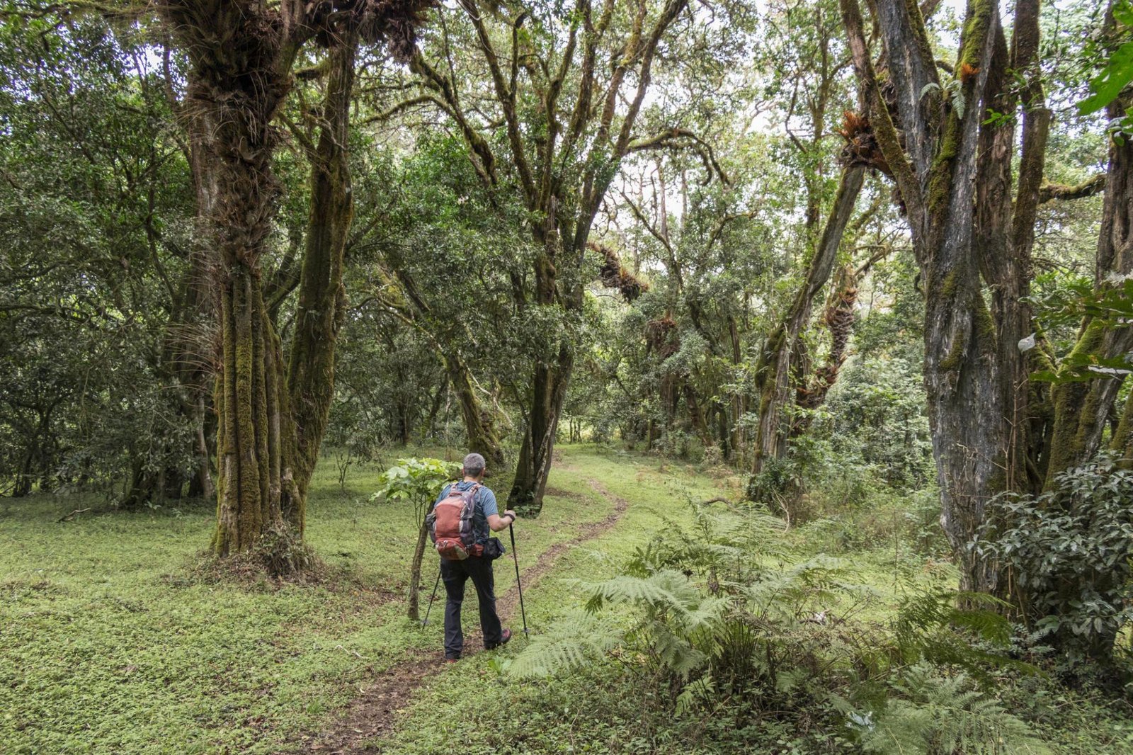 1-Day Trip to Arusha National Park